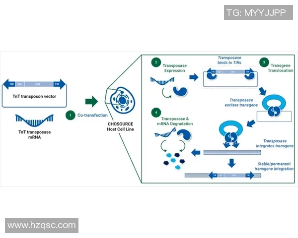 欧陆平台服务发现机制的创新与应用探索分析